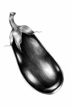 an eggplant is shown in black and white, as if it were drawn on paper