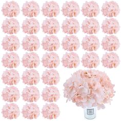 a bunch of pink flowers sitting in a vase next to each other on a white background