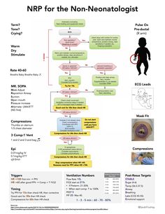 a diagram with instructions on how to use the non - nematolotists