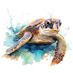 a green sea turtle swimming in the ocean watercolor painting on white background stock photo