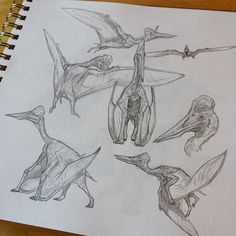 sketches of birds and dinosaurs in various poses on a notepad, with one being drawn