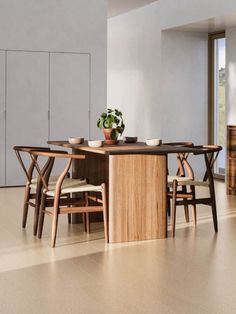 a dining room table with chairs and a potted plant