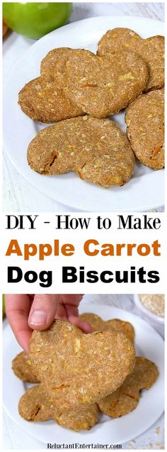 homemade apple carrot dog biscuits on a white plate