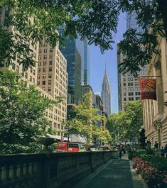 a city street lined with tall buildings and trees