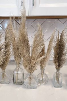 Mini Pampas Grass Stems (3 Stems)-Stem-Pampas B Dance Presents, Mini Pampas, University Rooms, Boho Centerpiece, Dedication Ideas, Deco Champetre, Matric Dance, Grass Wedding, Boho Bridal Shower