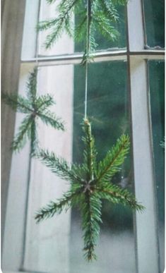 a pine tree is hanging from a window sill in front of the windowsill