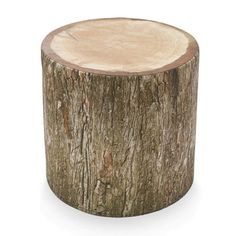 a tree stump is shown in this image