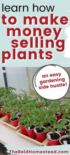 an easy guide to make money selling plants in the garden with text overlay that reads learn how to make money selling plants