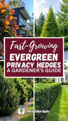 the words fast growing evergreen privacy hedges and garden's guide are shown in three different