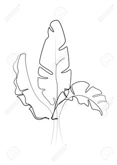 a black and white drawing of a leaf on a white background stock photo - 9579