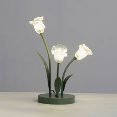 three white flowers are lit up on a table with the light turned on and off