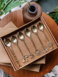 six spoons in a box on top of a table next to a vase and plant