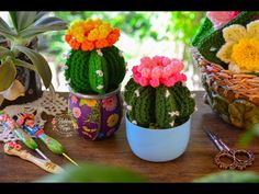 three potted plants sitting on top of a table next to scissors and other items