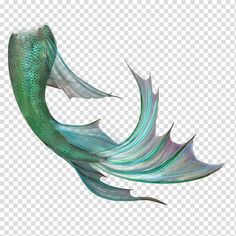 a green and white fish with long tail, on a transparent background png clipart