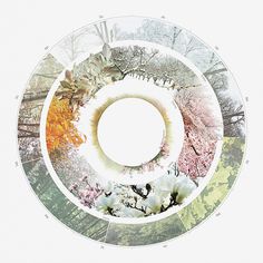 an image of the inside of a circle with trees and flowers all around it in different colors