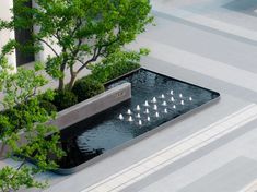 a water feature in the middle of a courtyard