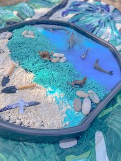 a blue tray filled with sand and sea animals