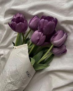 purple tulips are laying on a white sheet