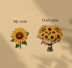 two sunflowers with the words my wish and god's plan on them