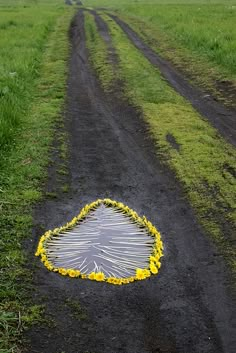 an upside down umbrella sitting on the side of a dirt road next to a field