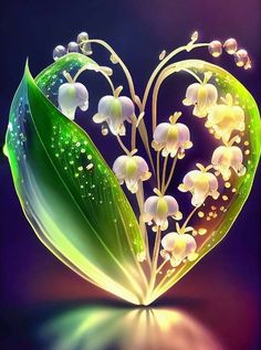 a heart shaped plant with lily of the valley flowers on it's leaves and water droplets