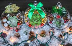 three glass ornaments are sitting on snow covered ground with lights and decorations around them in the shape of succulents