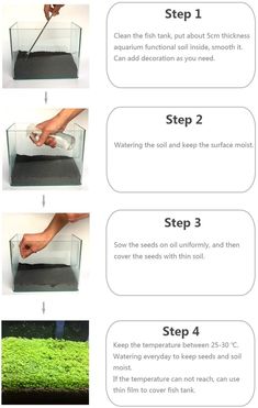 how to grow an aquarium fish tank in 3 easy steps - step by step instructions