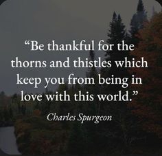 Charles Spurgeon Quotes, Grow Spiritually, Spurgeon Quotes, Study The Bible, Nourish Your Soul, Biblical Worldview, Prayer Closet, Soli Deo Gloria, How To Pray