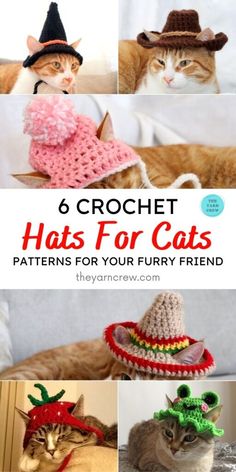 crochet hats for cats are so cute and easy to make they're all in the same pattern