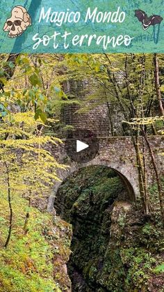 an image of a stone bridge in the woods with text reading magico mondo soterranee