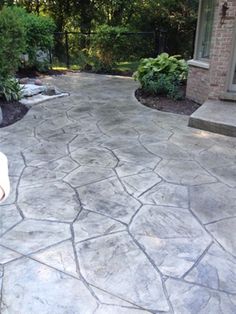 a dog that is standing in front of a house