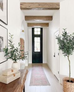 an entry way with a potted plant and pictures hanging on the wall next to it