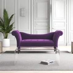 a living room with white walls and purple couches on the floor, in front of a potted plant