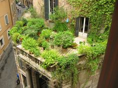 an old building with lots of plants growing on it