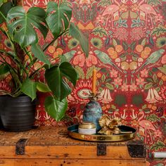 a potted plant sitting on top of a wooden table next to a wall paper