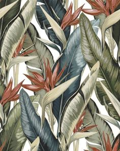 a wallpaper with tropical leaves and flowers