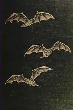 three bats flying in the air on a black background