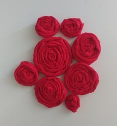 six red roses arranged in a circle on a white surface