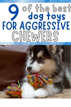 aggressive chew toys for dogs Diy Indestructible Dog Toys, Diy Chew Toys For Puppies, How To Make Dog Toys Diy, Diy Dog Toys For Heavy Chewers Easy, Puppy Chew Toys Diy, Diy Busy Toys For Dogs, Super Chewer Dog Toys, Best Dog Toys To Keep Them Busy, Best Chew Toys For Puppies