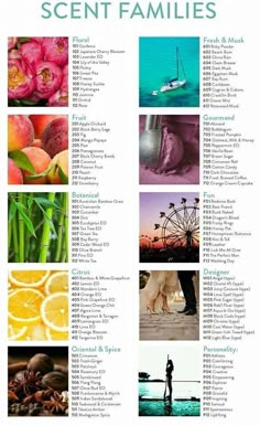 Fragrance Combinations Candles, Scent Pairings, Types Of Scents, Scent Combinations Fragrance, Candle Scents Recipes Fragrance, Perfume Making Aesthetic, Layering Scents, Scent Description, Perfume Scent Name Ideas