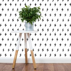 a potted plant sitting on top of a white table in front of a wall