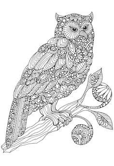 an owl sitting on top of a tree branch with lots of leaves and flowers around it