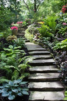 a stone path surrounded by plants and flowers