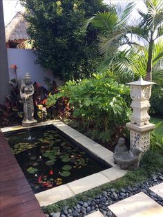 a small pond in the middle of a garden with water lilies and other plants