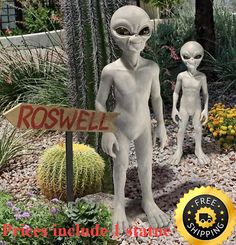 two alien statues standing next to each other in front of a cactus garden with a sign that says roswell