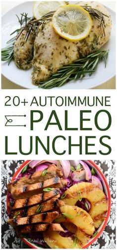 20+ Autoimmune Paleo Lunches Aip Lunches, Paleo Lunches, Autoimmune Paleo Recipes, Paleo Meals