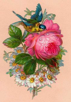 two birds sitting on top of pink flowers