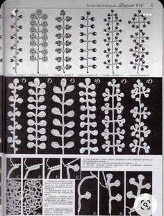 an old book with different types of plants