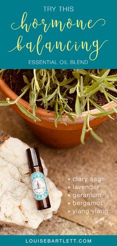 Hormone Balancing Essential Oils, Essential Oil Aphrodisiac, Essential Oil Spray Recipes, Balancing Hormones, Doterra Essential Oils Recipes, Essential Oil Remedy, Oil Remedies, Oil Diffuser Recipes, Essential Oil Diffuser Recipes