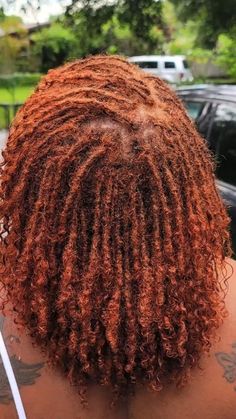 Starter Loc Women, Biracial Women With Locs, Curly Tip Locs, Locs Type 4 Hair, Comb Coil Locs 4c Hair, Hair Color Ideas For Micro Locs, Traditional Locs With Curly Ends, Boho Starter Locs, Starting Locs From Braids